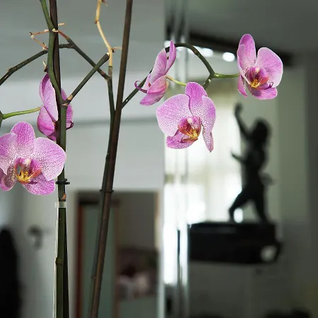 卡尔皮索酒店 3* 庞贝